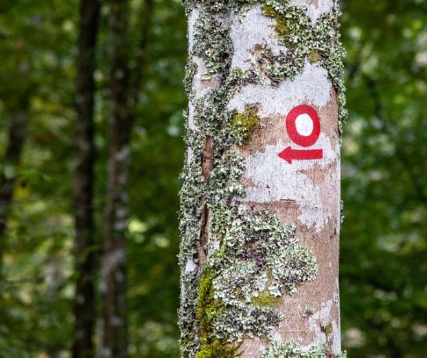 Naj planinska pot 2026