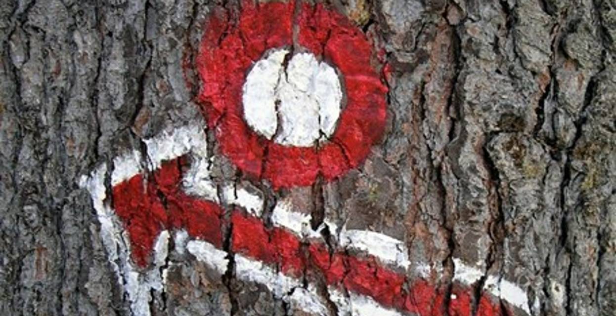 Ideja za zeleni izlet: Ženiklovec nad Lomsko dolino