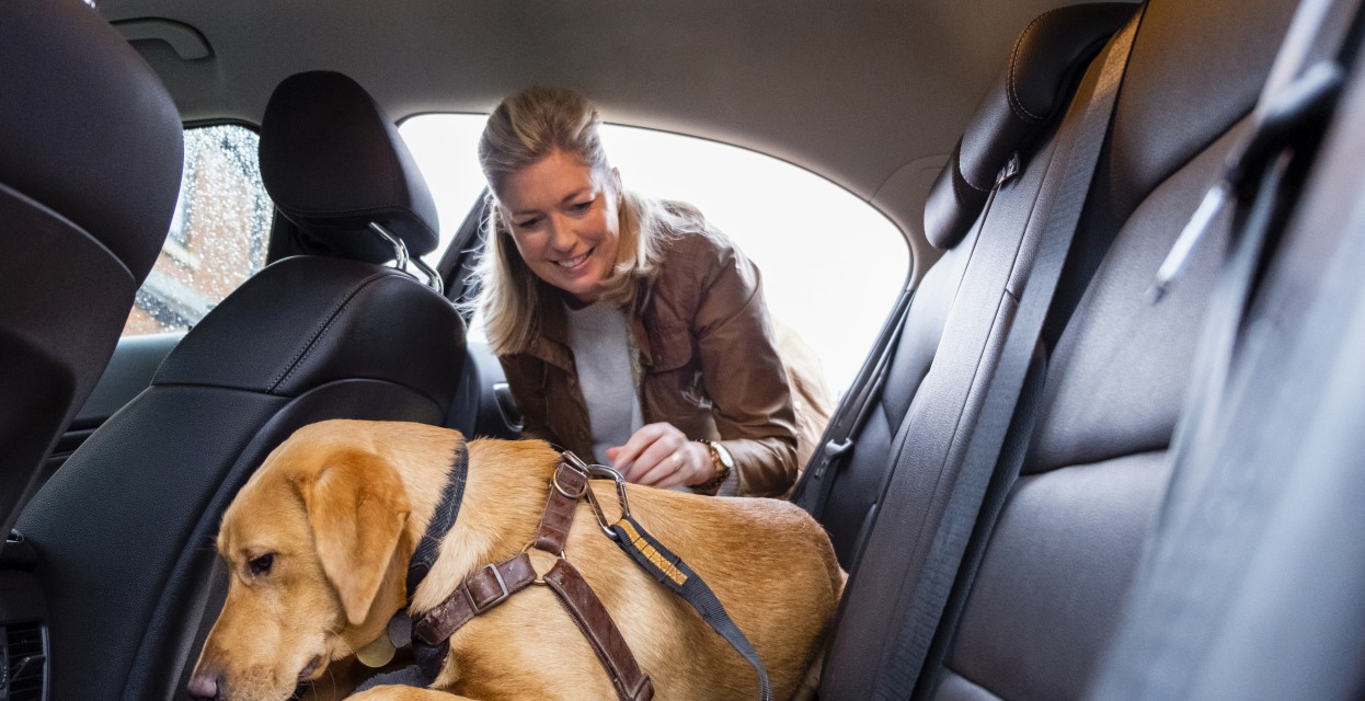 Podkast: Varen prevoz malih živali