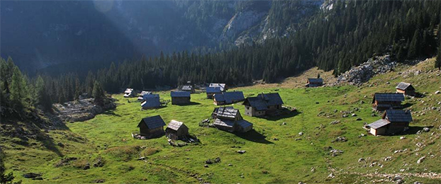 Ideja za izlet: Planina v Lazu