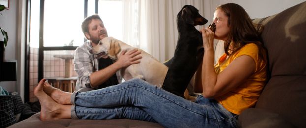 Pasme psov: Mali, srednji ali veliki pes, kako izbrati pravega?