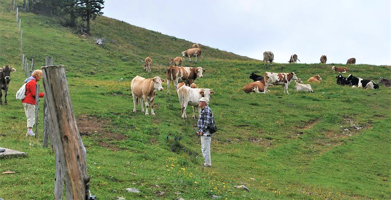 Ideja za izlet: Golte