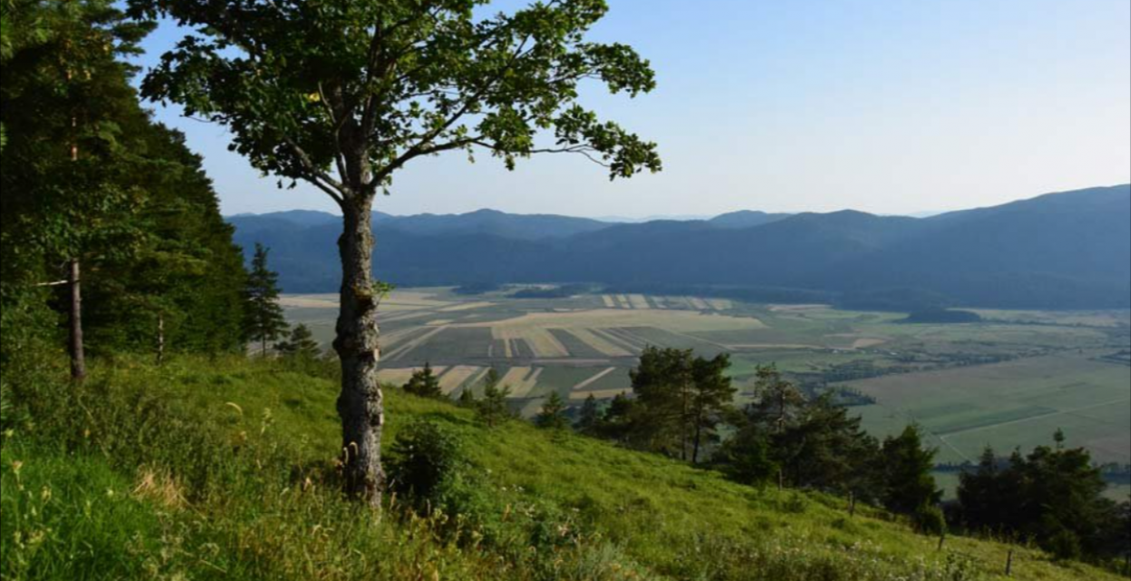 Ideja za izlet: Slivnica