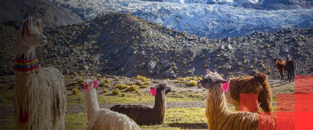 Podkast Osvoji svet s Triglavom: Peru