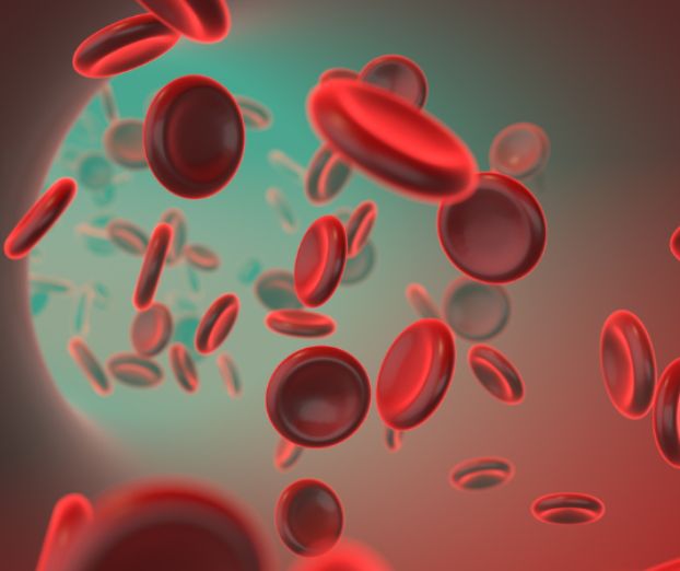 Hemoglobin in slabokrvnost