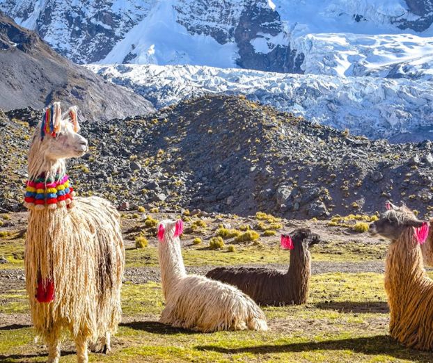 Podkast Osvoji svet s Triglavom: Peru