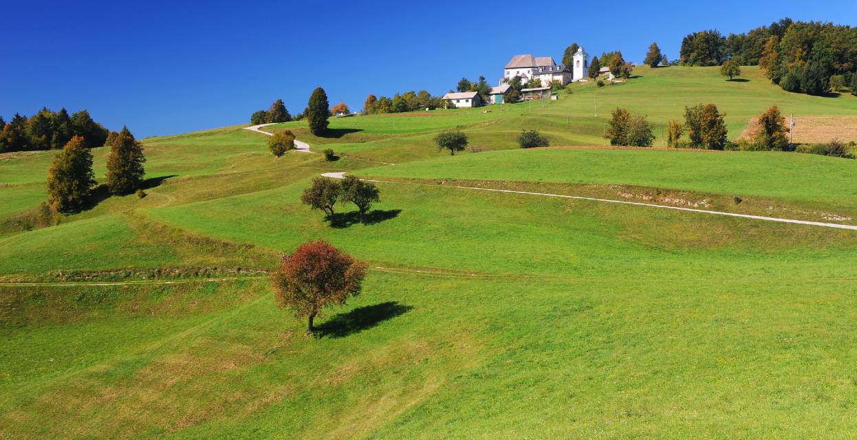 Ideja za zeleni izlet: Limbarska gora