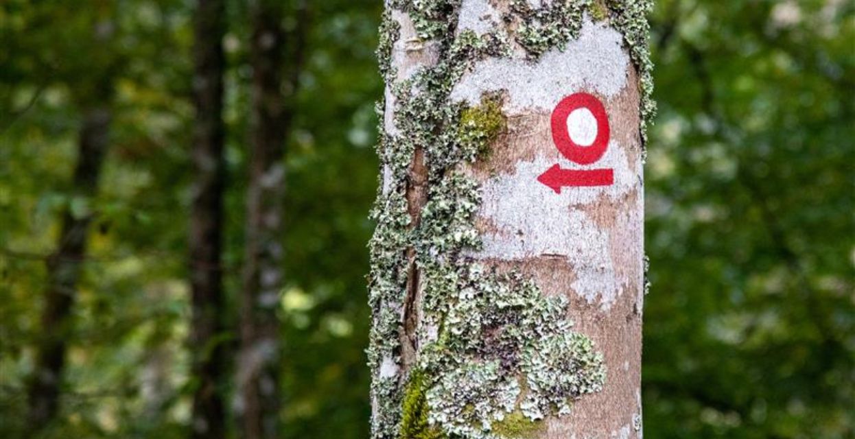 Naj planinska pot 2026