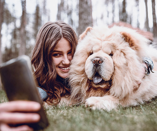 Izbor uredni&scaron;tva: 5 Instagram profilov, kjer so psi &hellip; psi
