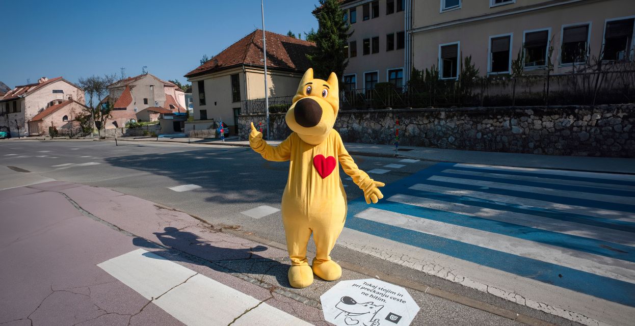 Vse najboljše, kuža Pazi!