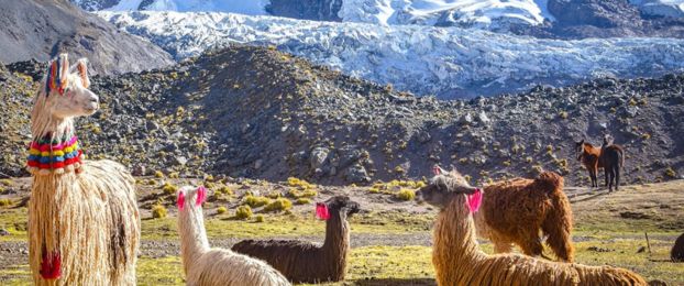 Podkast Osvoji svet s Triglavom: Peru