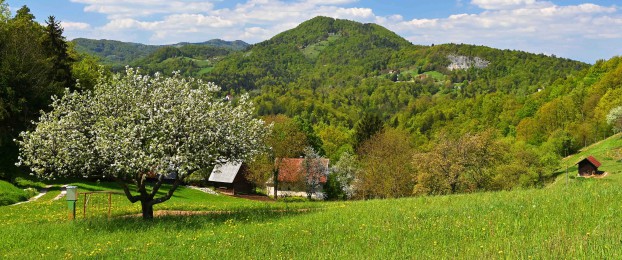 Ideja za zeleni izlet: Na Resevno iz &Scaron;entjurja