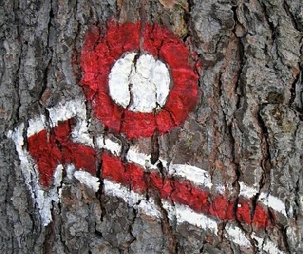 Ideja za zeleni izlet: Ženiklovec nad Lomsko dolino
