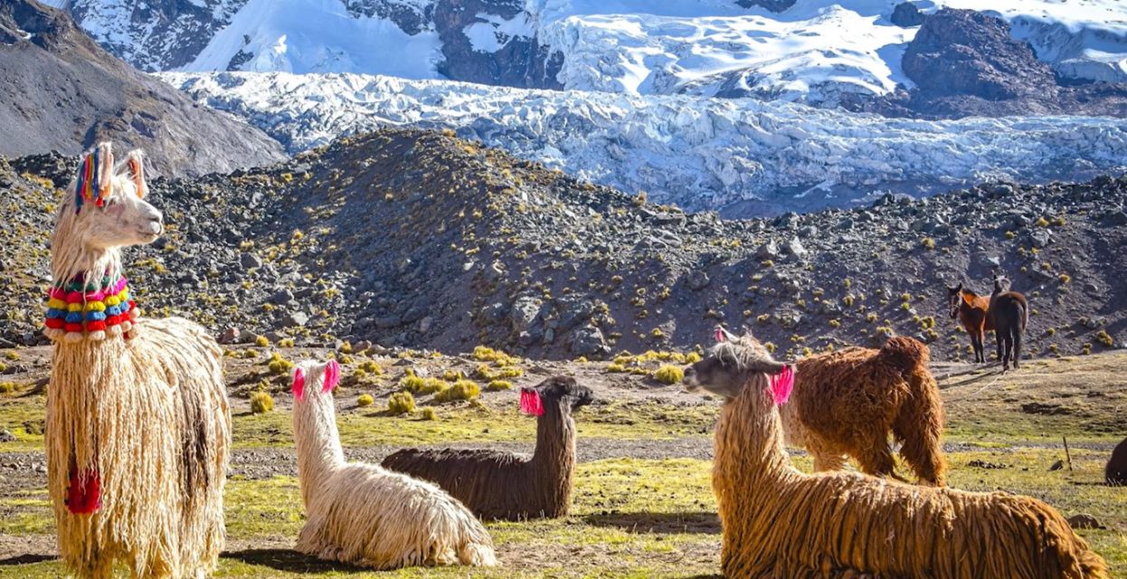 Podkast Osvoji svet s Triglavom: Peru