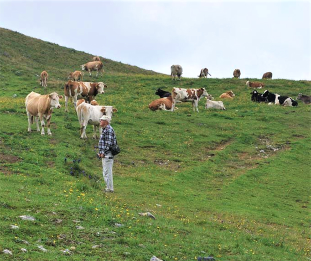 Ideja za izlet: Golte