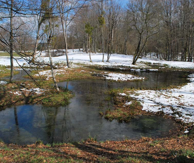 Ideja za izlet: Miklavž na Gorjancih