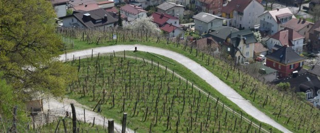 Ideja za izlet: Piramida, Mestni vrh in Kalvarija