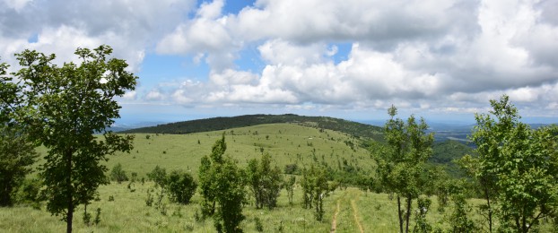 Ideja za izlet: Golič iz Podgorja