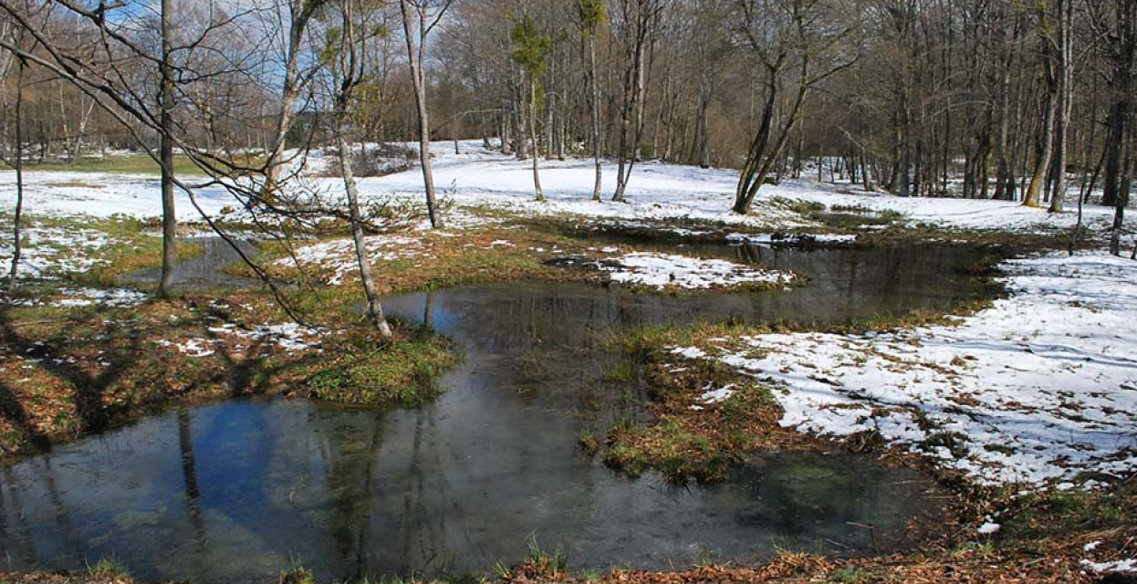 Ideja za izlet: Miklavž na Gorjancih