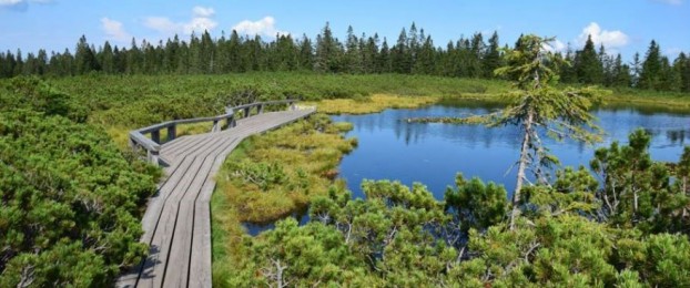 Ideja za izlet: Pot na Ribni&scaron;ko jezero
