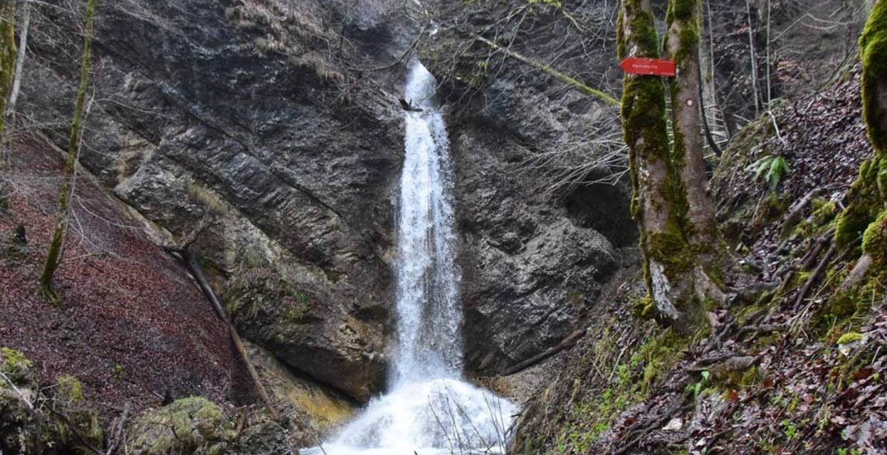 Ideja za izlet: Soteska Pekel od gostišča Pekel