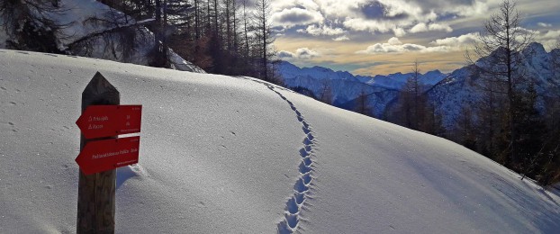 Test: Kako varno pozimi v gore?
