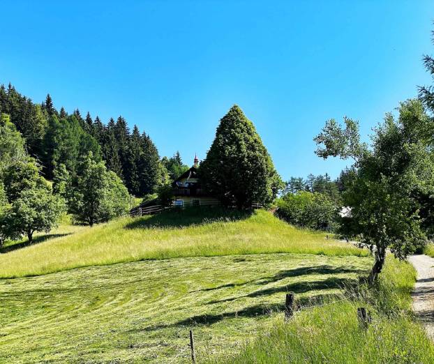 Ideja za zeleni izlet: Čreta po Vojkovi poti