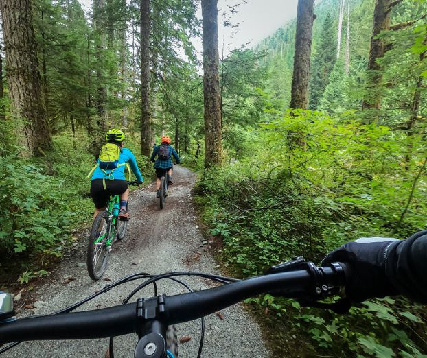 Gorsko kolesarjenje po Sloveniji: Ali res veste, kje se lahko vozite?