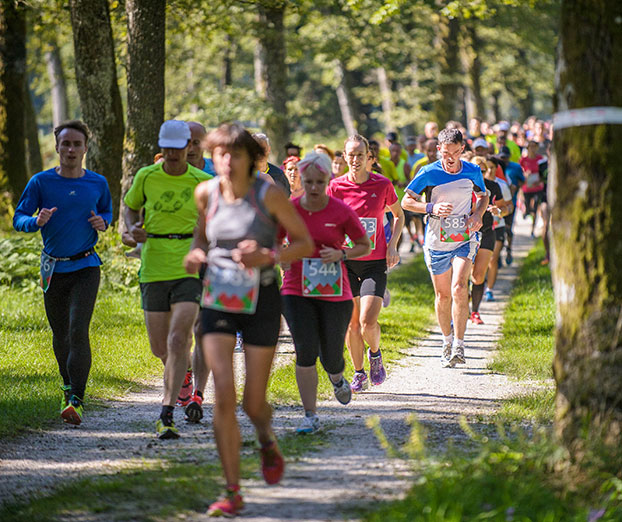 Triglav tek: Balzam za možgane