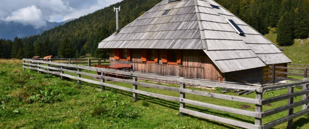 Ideja za izlet: Konj s Kraljevega hriba