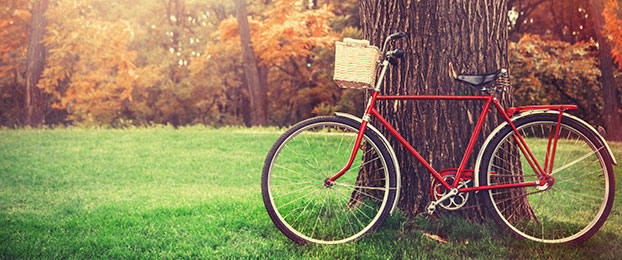 Tatovi niso izbirčni, kradejo vse vrste koles