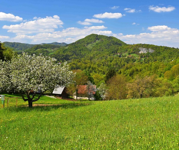 Ideja za zeleni izlet: Na Resevno iz &Scaron;entjurja