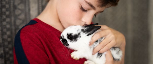 Moj mali ljubljenček se ne počuti dobro