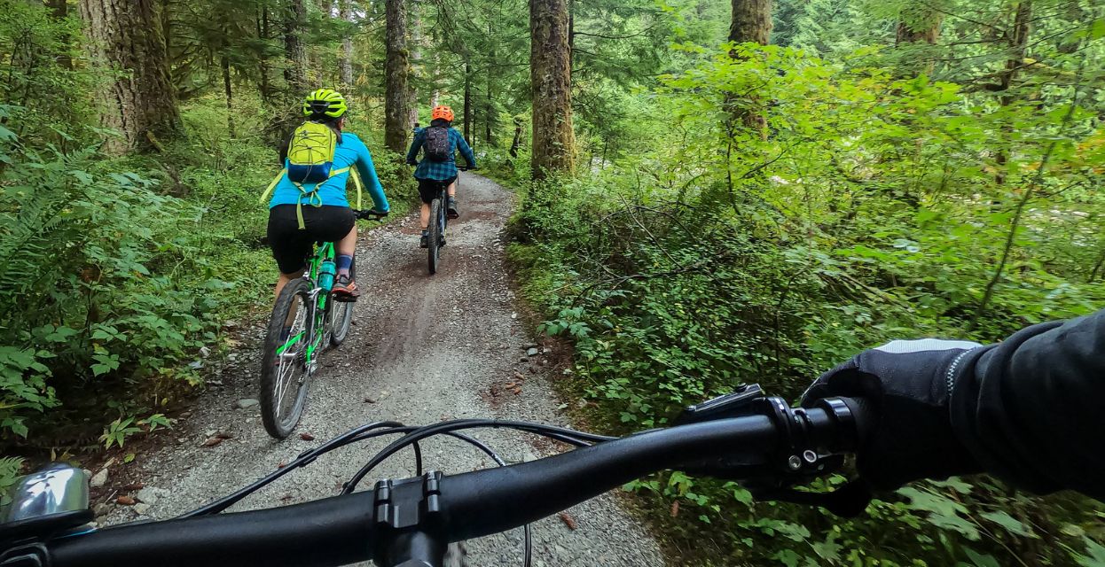 Gorsko kolesarjenje po Sloveniji: Ali res veste, kje se lahko vozite?
