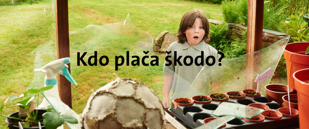 Kdo plača &scaron;kodo sosedu? Razlika med odgovornostjo iz posesti in osebno odgovornostjo