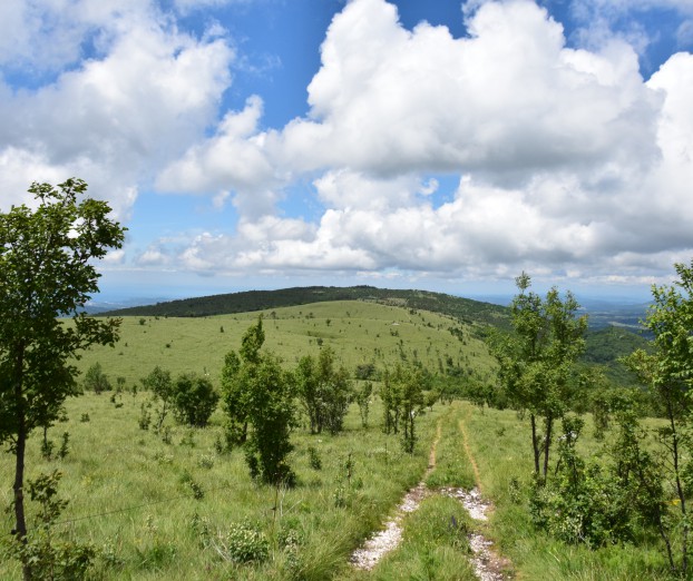 Ideja za izlet: Golič iz Podgorja