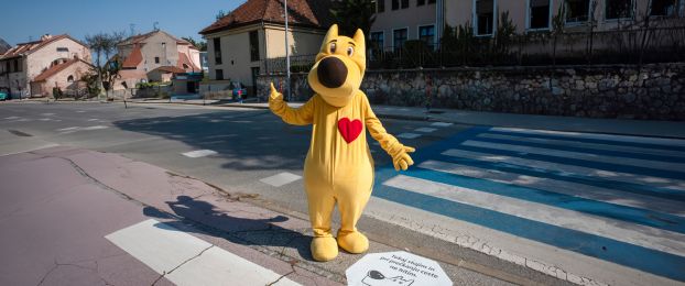Vse najboljše, kuža Pazi!