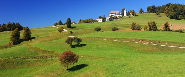 Ideja za zeleni izlet: Limbarska gora