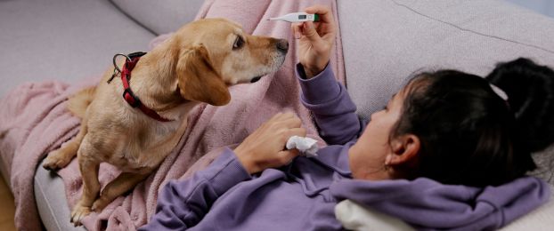 Ali obstaja zavarovanje za primer, da grem na bolni&scaron;ko?