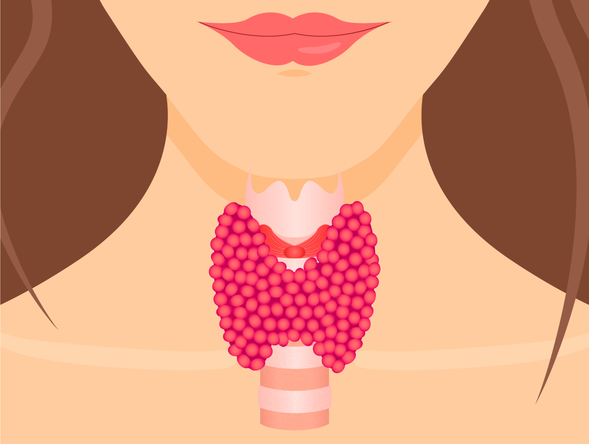 &ldquo;Ilustracija vratu, ki prikazuje lego &scaron;čitnice pred sapnikom in njeno metuljčkasto obliko v rožnatih odtenkih, sestavljeno iz &scaron;tevilnih okroglih celic.