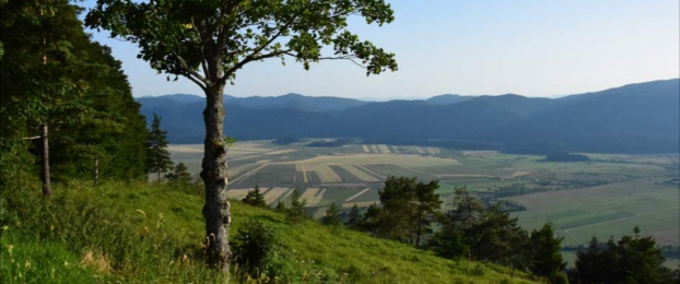 Ideja za izlet: Slivnica