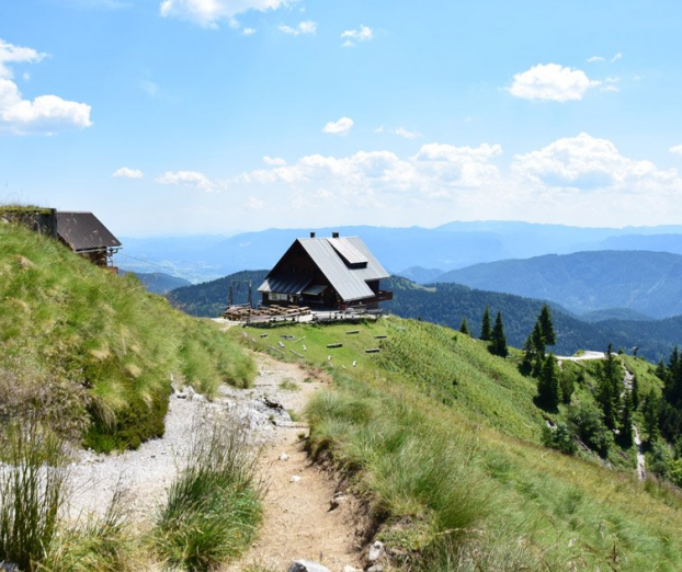 Ideja za izlet: Na Golico s Planine pod Golico