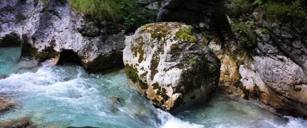 Ideja za izlet: Kamniška Bistrica