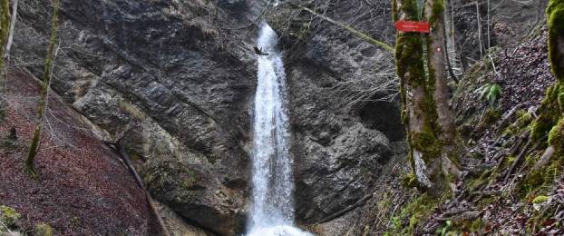 Ideja za izlet: Soteska Pekel od gostišča Pekel