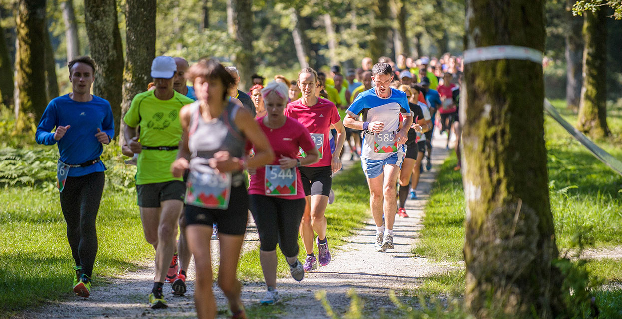 Triglav tek: Balzam za možgane