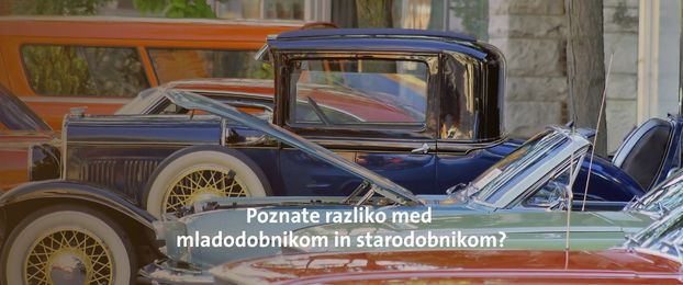 Od nostalgije do naložbe: svet starodobnikov in mladodobnikov