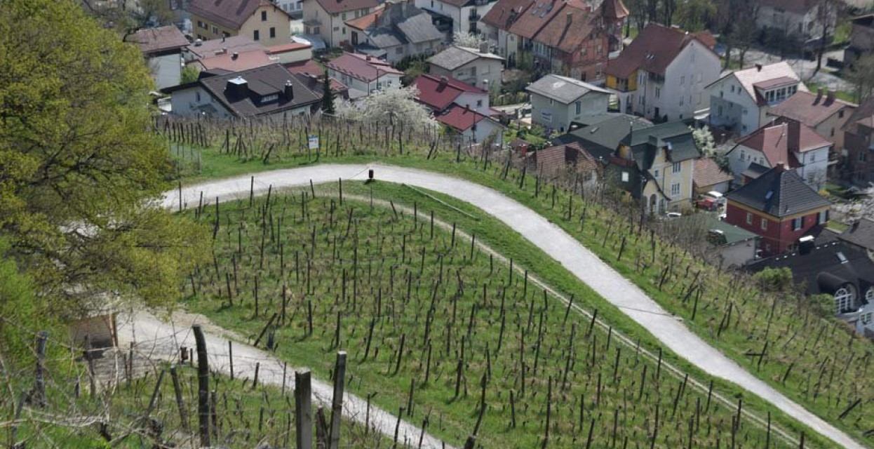 Ideja za izlet: Piramida, Mestni vrh in Kalvarija