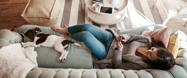 Kako uveljavim zavarovanje psa?