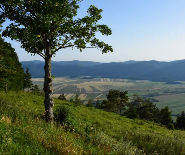 Ideja za izlet: Slivnica
