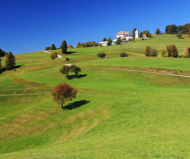 Ideja za zeleni izlet: Limbarska gora